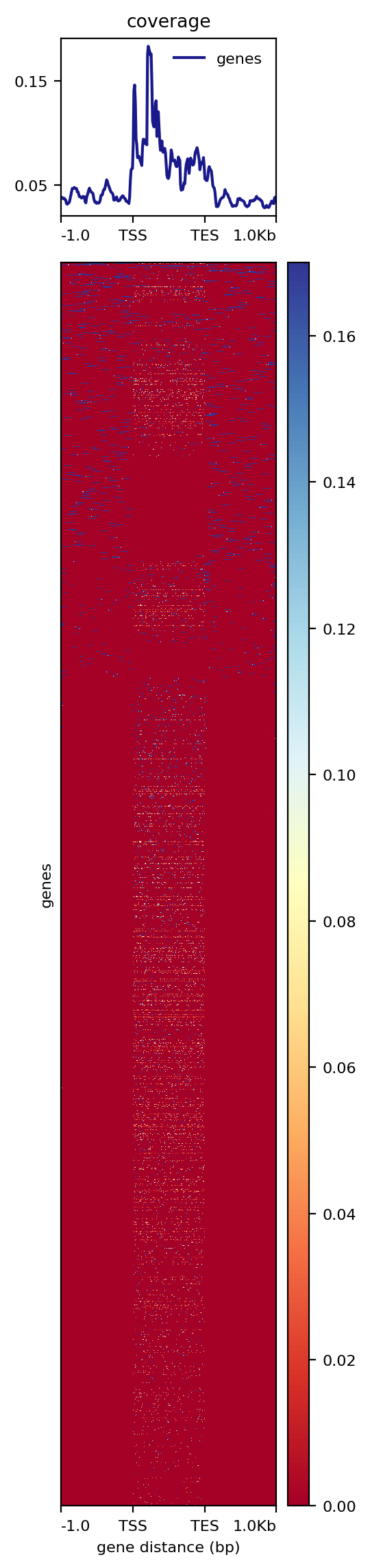 Visualization 2